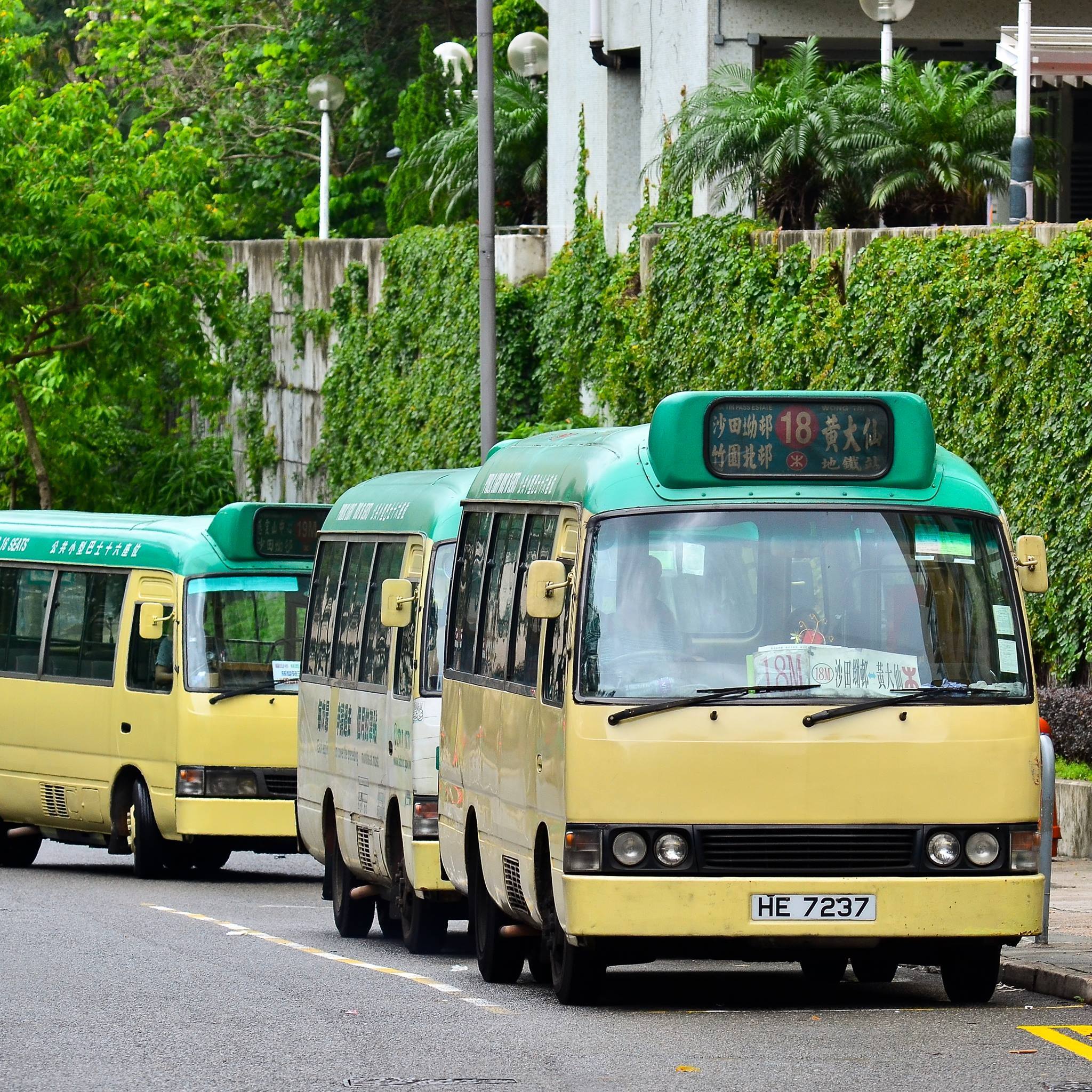 Minibus Collections Icon